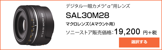 2016-06-02_alpha-satsuei-ajisai-ad02.jpg